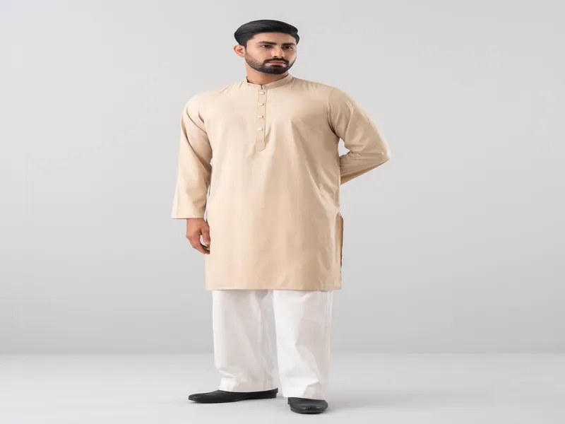 Regular Fit Embroidered Formal Panjabi